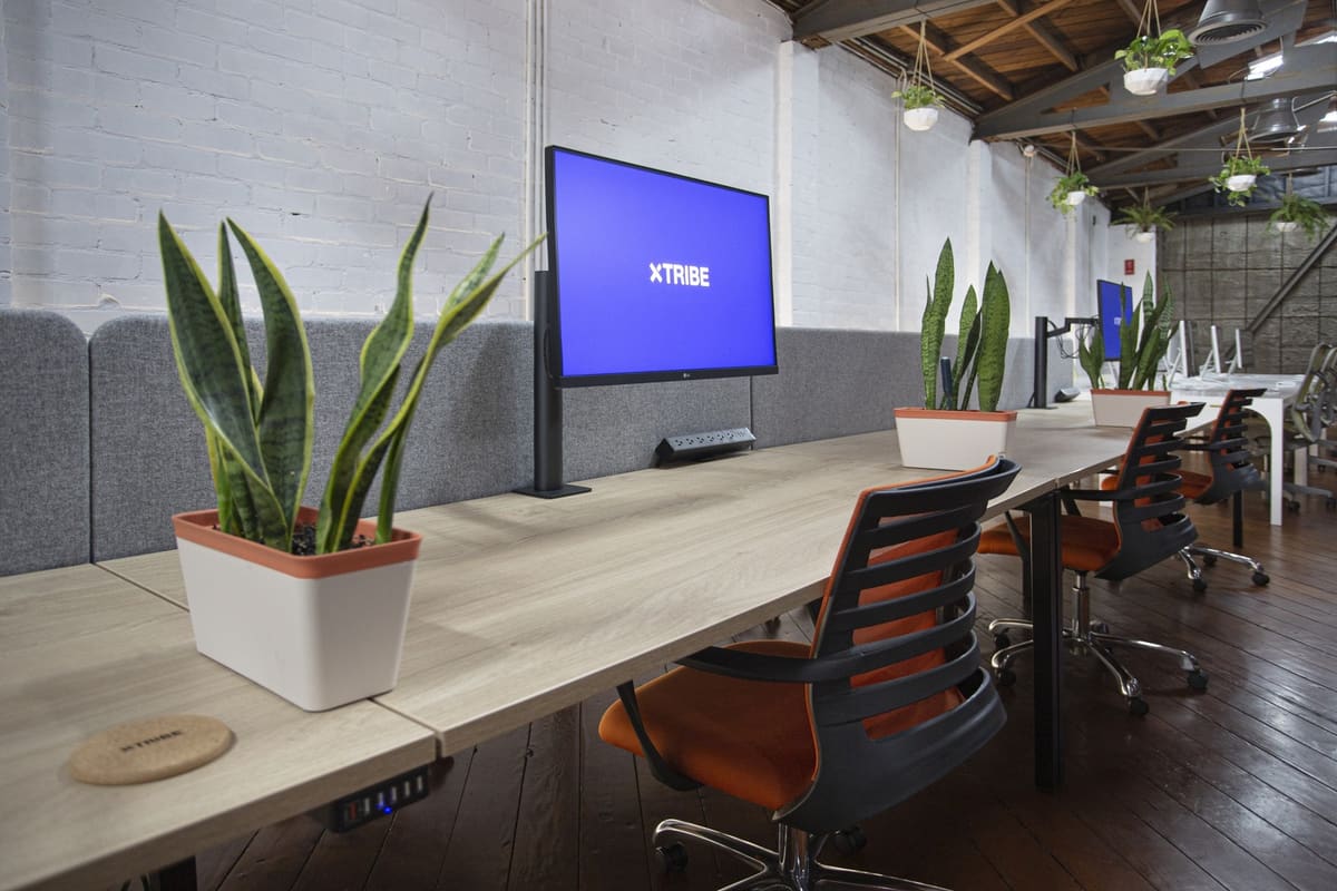 Row of light wood coworking desks with orange task chairs, potted snake plants and a wall-mounted xTribe screen beneath exposed wood ceiling beams